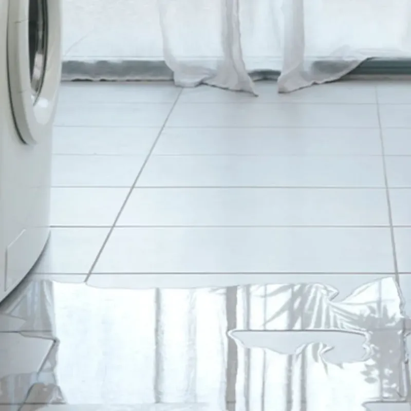 Appliance Leak Cleanup in Miramar Beach, FL
